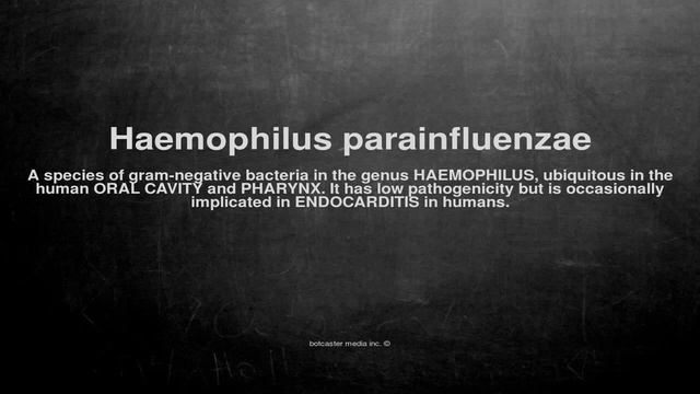 Medical Vocabulary: What Does Haemophilus Parainfluenzae Mean