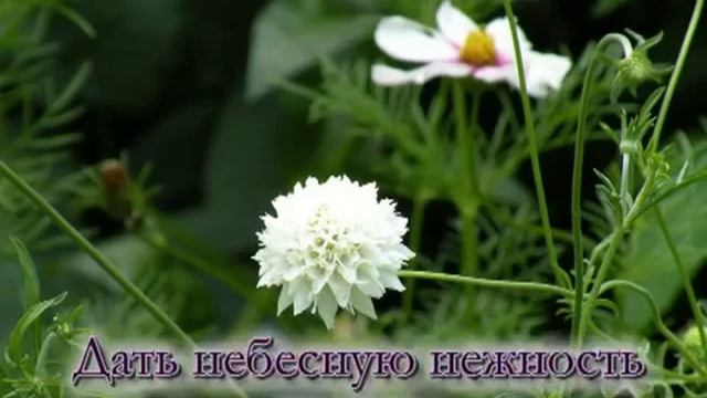 Не молчи смотреть онлайн