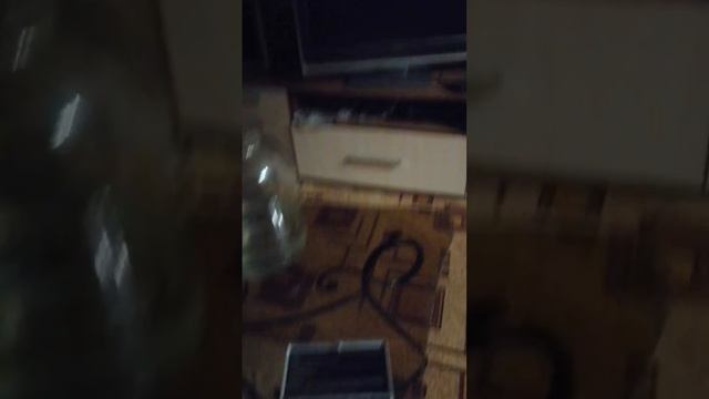 Пасечник прислал боровики смотреть онлайн