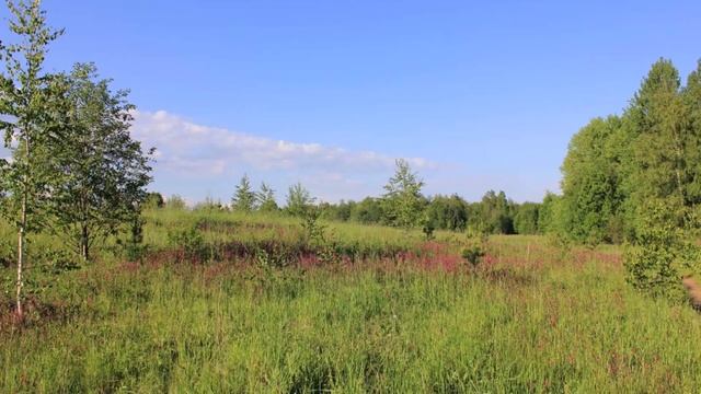 Боханский, МБОУ "Буретская СОШ" Структурное подразделение "Грязнинская НОШ" Бархатов Д., Патаева С смотреть онлайн