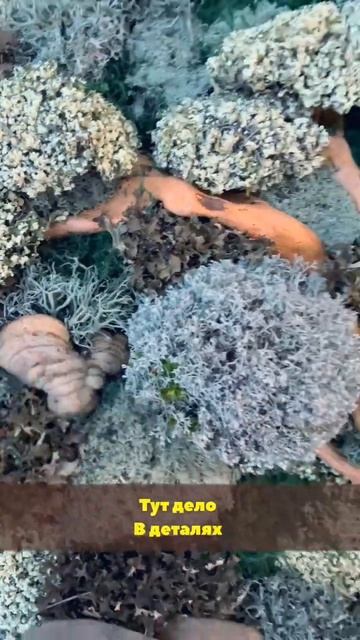 Шикарное панно