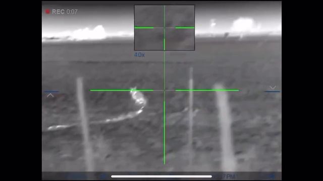 Coyote sneaks up behind me! смотреть онлайн