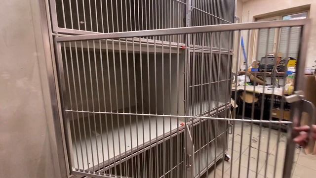 Ветеринарный стационар для животных большого размера ВСТ-18 смотреть онлайн