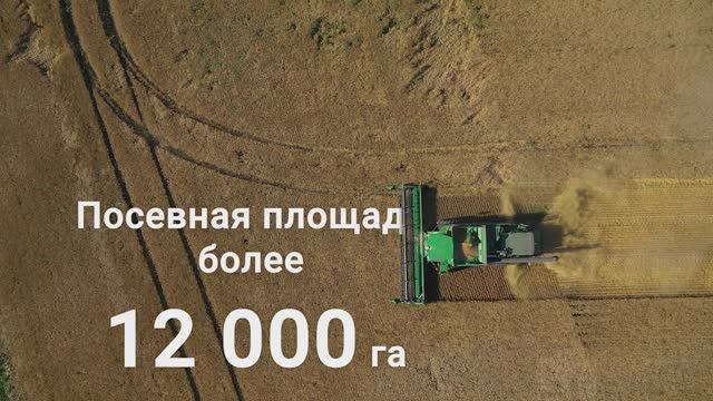 Соколово смотреть онлайн