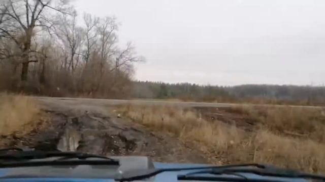 Дорога в Святогорск. Красивые осенние пейзажи смотреть онлайн