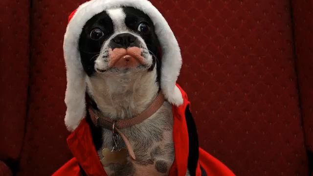 Новогодняя (Новый Год). Новая песня!