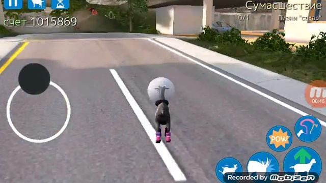 Ран мусором