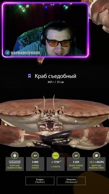 Первый раз поймал краба #shorts #russianfishing4 #русскаярыбалка4 #yaroxa смотреть онлайн