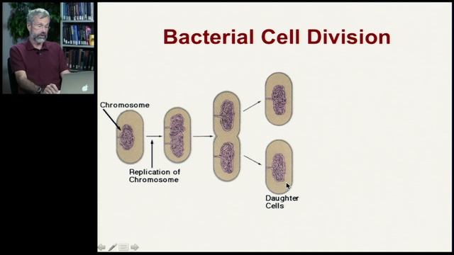 Mutation and Cell Division | Genes, Chromosomes and Mitosis смотреть онлайн