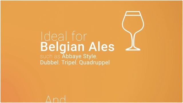 SafAle™ BE-256 - Yeast Strain For Fruity Strong Ales - Fermentis