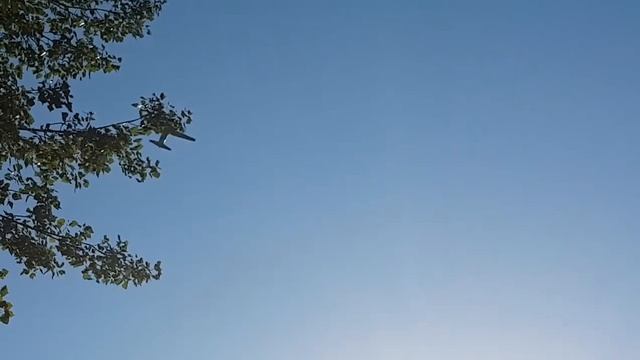 UFO, НЛО ( WHAT A H..L IS IT AT "1,05 minute" UNKNOWN'S LIGHTS!!! ) смотреть онлайн