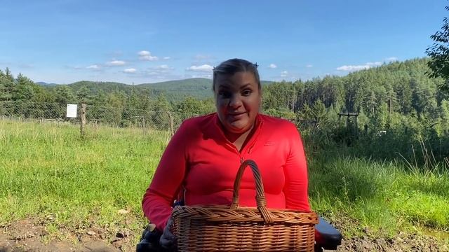 Голосуем За Название Канала | Едем За Грибами! смотреть онлайн