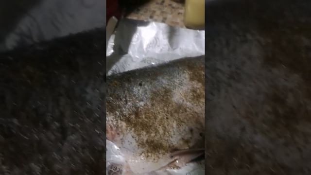Рецепт толстолобика смотреть онлайн