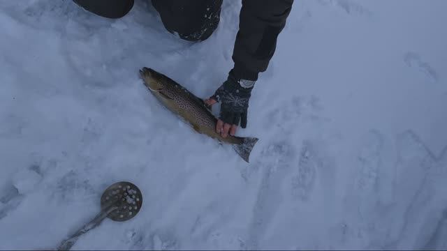 Большая кумжа зимой!!! Рыбалка на снегоходах Тайга смотреть онлайн