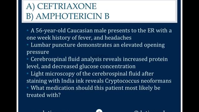 794: Ceftriaxone Or Amphotericin B