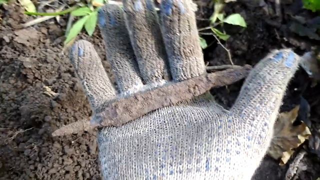 Древность, советы, бижуха и грибы!