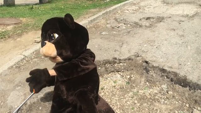 Бобёр наводит порядок! смотреть онлайн