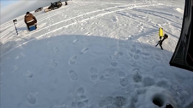 СУДАК НА ВИБЫ ЗИМОЙ! ДАРИМ МНОГО ПОДАРКОВ прямо на льду!!! В ЭХОЛОТЕ МНОГО РЫБЫ! Зимняя рыбалка 2024 смотреть онлайн