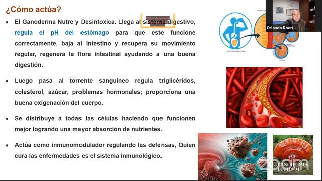 LUPUS Y ARTRITIS смотреть онлайн