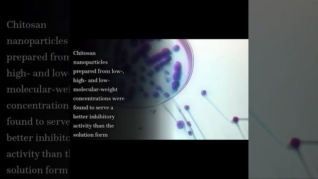 Antifungal Activity of Chitosan Nanoparticles and Correlation with Their Physical Pro... | RTCL.TV смотреть онлайн
