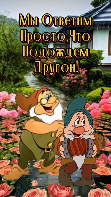 Утренний позитив#Все будет хорошо#💃💃💃🥰👍 смотреть онлайн