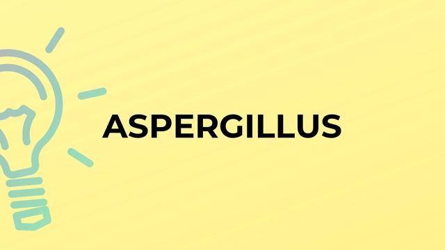What is the meaning of the word ASPERGILLUS? смотреть онлайн