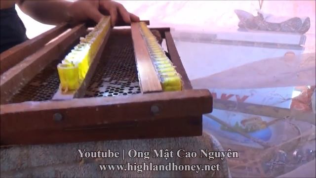 Visiting a Vietnamese honey bee farm | Part 1 | Vietnamese Beekeepers смотреть онлайн
