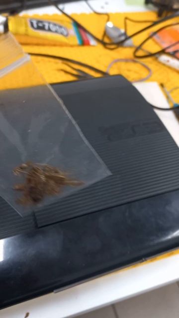 ТАРАКАНЫ В SONY PS 3 смотреть онлайн