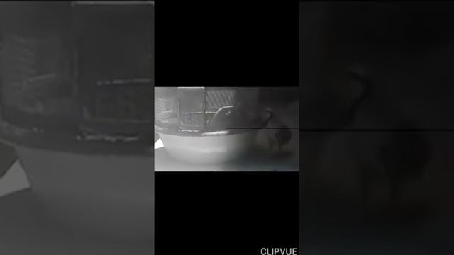 Кеклик короздору... смотреть онлайн