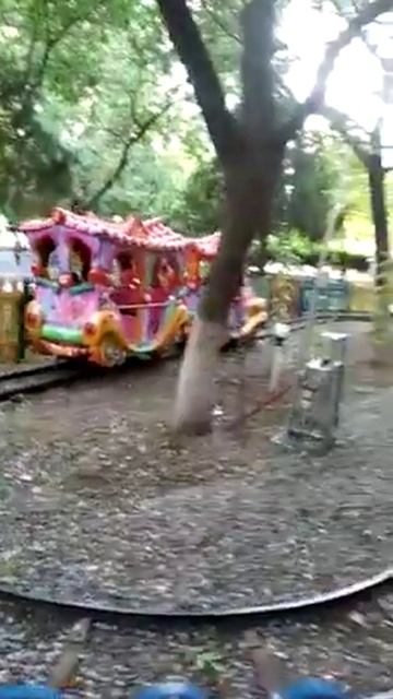 Я в парке * Два Жирафа* смотреть онлайн