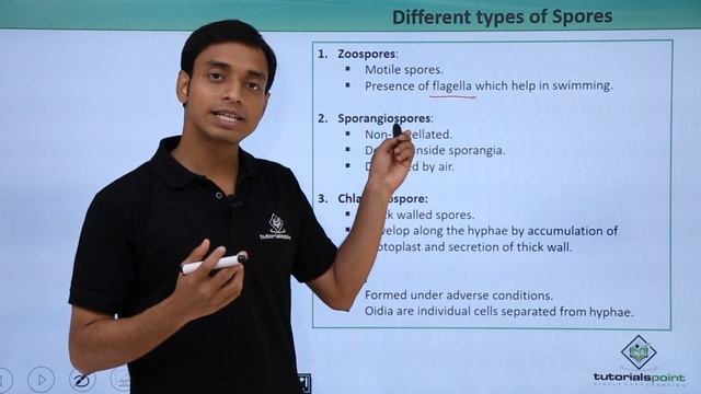 Class 11th – Fungi - Asexual Reproduction | Biological Classification | Tutorials Point