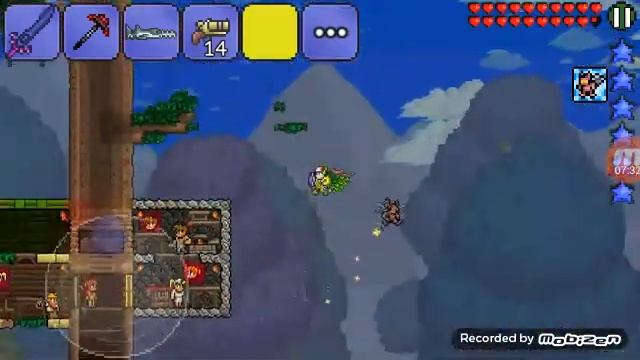 Я купил крылья у знахаря!