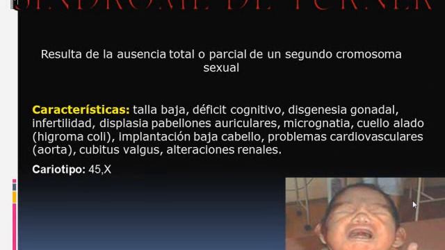 Tmmed Exámenes - RES PEDIATRIA INT 9Y10 B смотреть онлайн