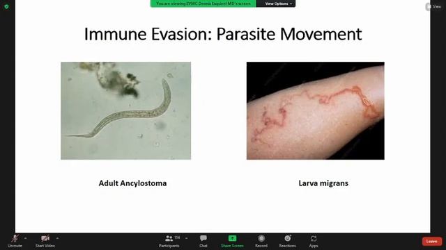 (3) Parasite Immunology & Molecular Protozoology смотреть онлайн