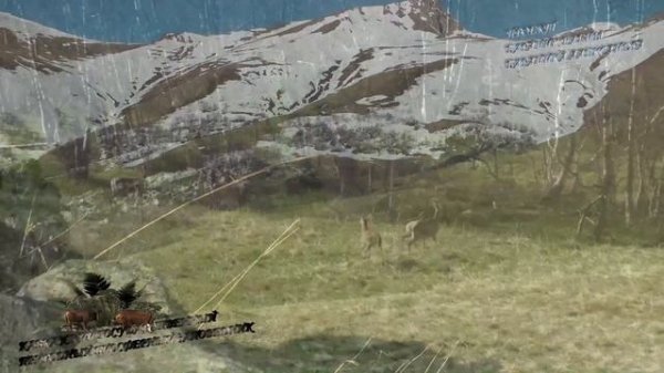 Встреча с Дикими зверями в горах Кавказа!! Зубр! Олень!!! Медведь!!! Рысь!!! Тур!!Серна!!!Леопард!!