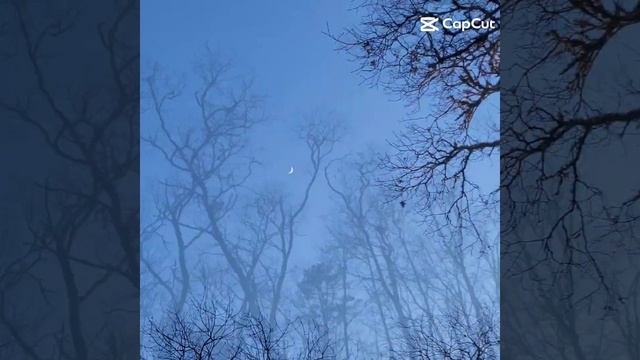 pov:you open my camera roll смотреть онлайн