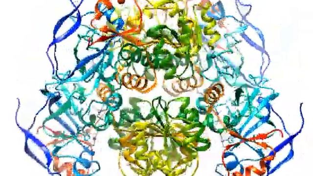 7ntm - Cryo-EM structure of S.cerevisiae native alcohol dehydrogenase 1 in its tetrameric apo state смотреть онлайн