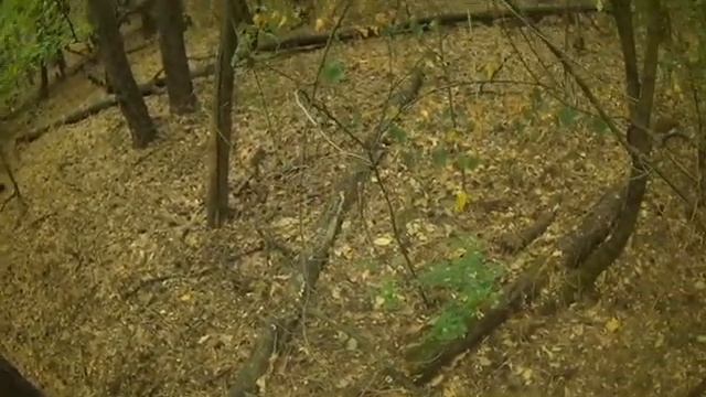 КОРОЧЕ ГОВОРЯ "пОТЕРЯЛСЯ В ЛЕСУ 3" смотреть онлайн