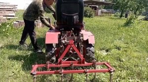 Минитрактор на базе мотоблока МТЗ 09 Н в работе