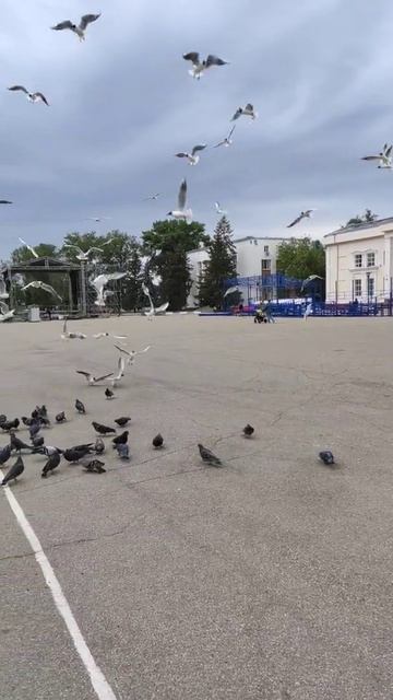 10 июня 2021 г. смотреть онлайн