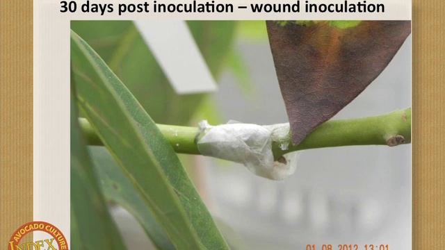 Seminar 13: 2  Stanley Freeman