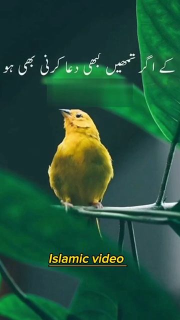 Nabi Pak (S.A.W) Nai Farmaya! | Musibato Sai Gabra Kar Moth Na Mango | | Short📸 | #allahﷻ #shorts