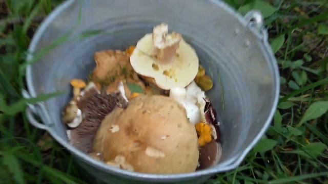 ГРИБНОЙ ЗУД смотреть онлайн