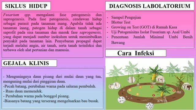 Onimycosis - Nia Syukria- смотреть онлайн