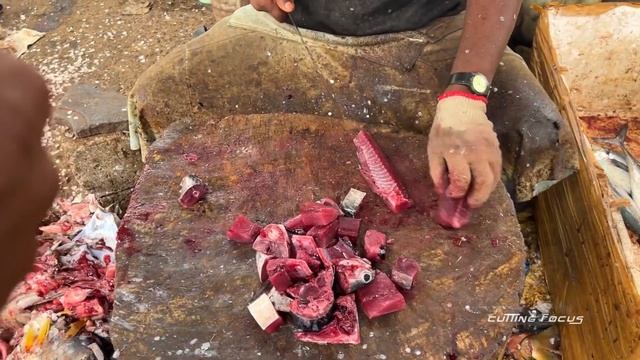 SHEELA BARRACUDA FISH CUTTING BY SPEED SELVAM | HD VIDEO | IN KASIMEDU | CUTTING FOCUS 🔪 смотреть онлайн