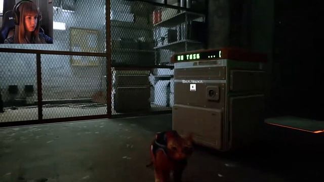 РАБОТНИК ГОДА - STRAY #11 / Полное прохождение смотреть онлайн