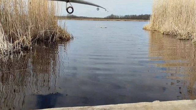 Итоги конкурса "Вязальные истории" Победитель в номинации "Лучший рассказчик" смотреть онлайн