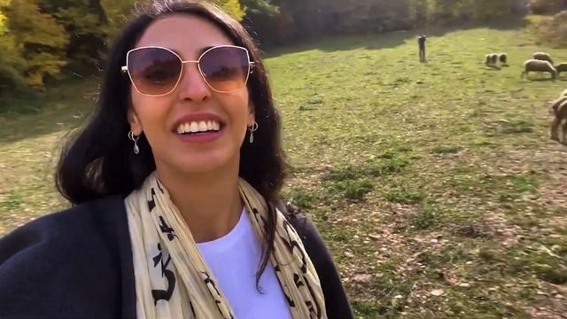 Truffle Hunting In Italy | Wild Foods Tour