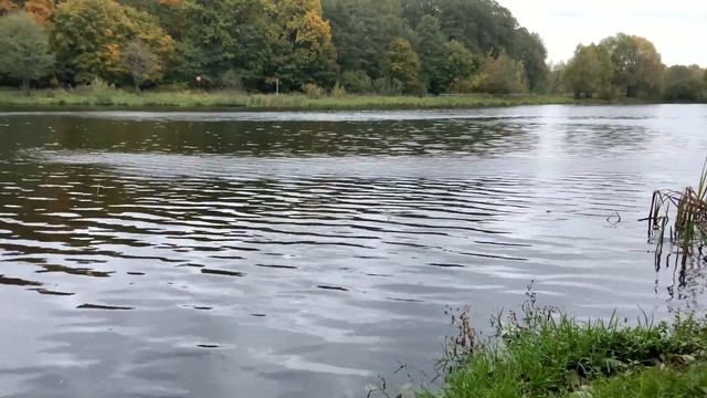 Рыбалка 30 сентября 2019 года Москва