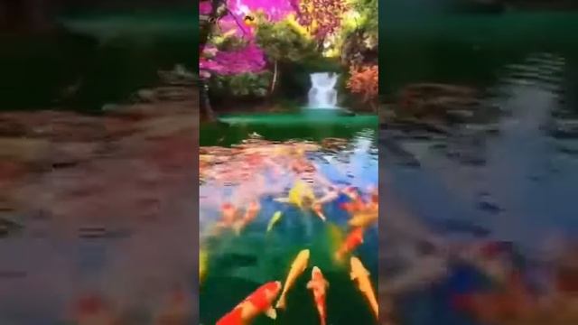 Всем Мира и добра!!!❤️ смотреть онлайн